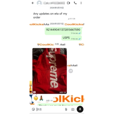 Supreme Satin Applique Hoodie Sweatshirt Red 02