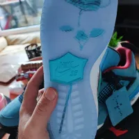PKGoden SB Dunk Low April Skateboards,FD2562-400 review 3