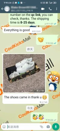 G5 A Bathing Ape Bape Sta Low White, 1H70-191-006 review 1
