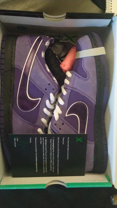 PKGoden SB Dunk Low Concepts Purple Lobster,BV1310-555 review coolkicksmall  00