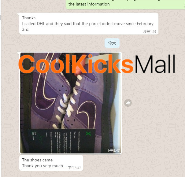 PKGoden SB Dunk Low Concepts Purple Lobster,BV1310-555 review coolkicksmall 01