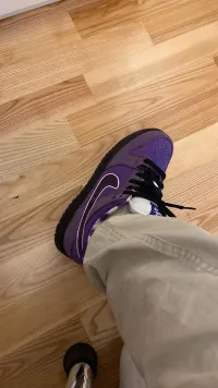 PKGoden SB Dunk Low Concepts Purple Lobster,BV1310-555 review 0