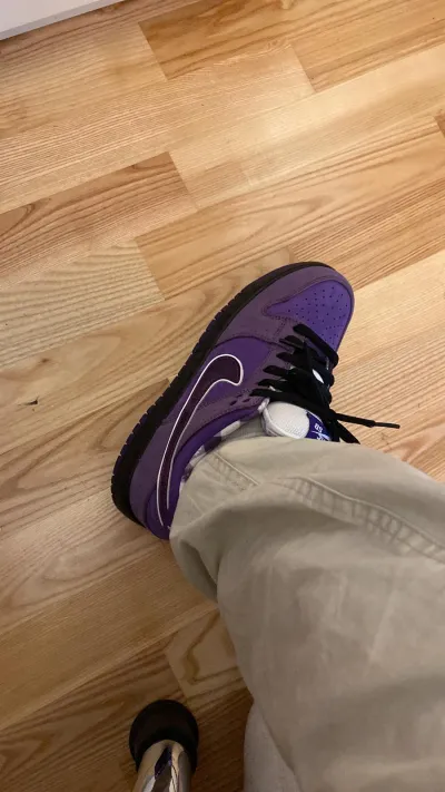PKGoden SB Dunk Low Concepts Purple Lobster,BV1310-555 review coolkicksmall  00