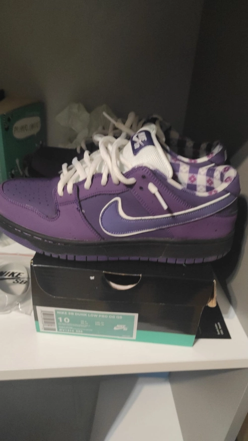 PKGoden SB Dunk Low Concepts Purple Lobster,BV1310-555 review 