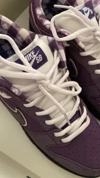 PKGoden SB Dunk Low Concepts Purple Lobster,BV1310-555 review 1