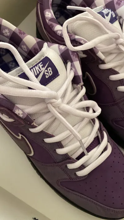 PKGoden SB Dunk Low Concepts Purple Lobster,BV1310-555 review Inferno 01