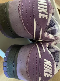 PKGoden SB Dunk Low Concepts Purple Lobster,BV1310-555 review Inferno 03
