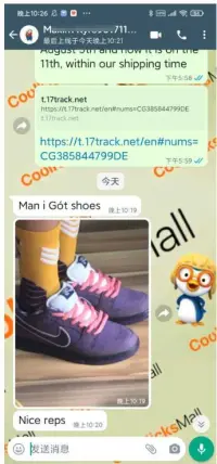 PKGoden SB Dunk Low Concepts Purple Lobster,BV1310-555 review 0