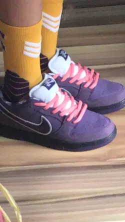 PKGoden SB Dunk Low Concepts Purple Lobster,BV1310-555 review Customer coolkicks reviews from whatsapp 02