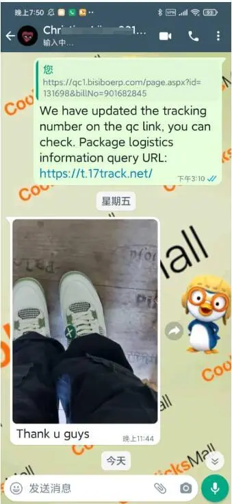PKGoden Air Jordan 4 Retro Seafoam,  AQ9129-103 review Customer coolkicks reviews from whatsapp 01