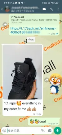 Cool Kicks | GET Air Jordan 4 Retro Black Cat, CU1110-010 review 0