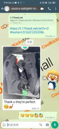 Cool Kicks | GET Air Jordan 4 Retro Black Cat, CU1110-010 review 1