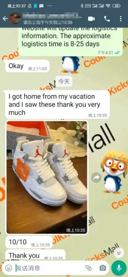 GET Air Jordan 4 Retro White Oreo,CT8527-100 review customer feedback 02
