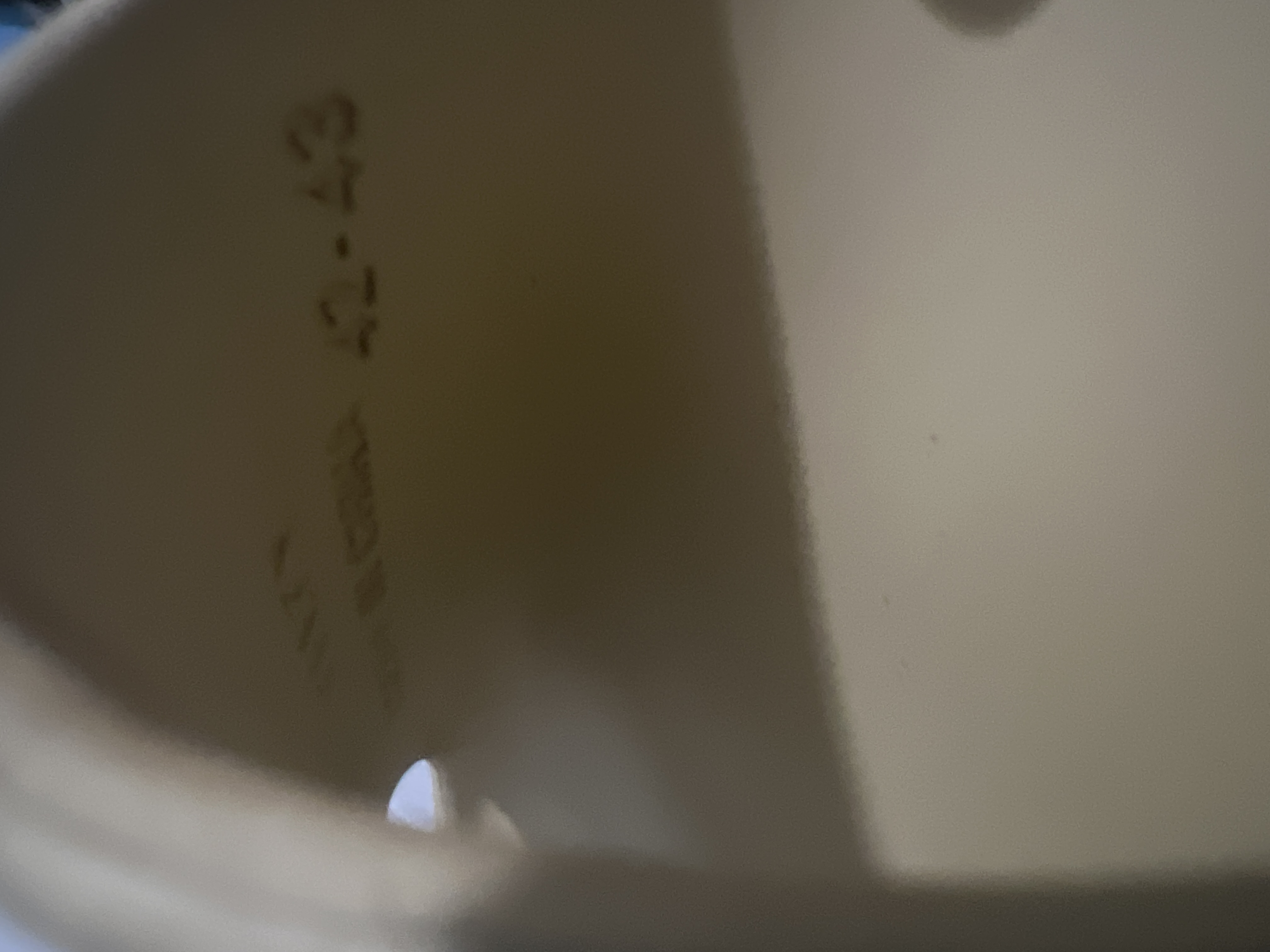 G5 Yeezy Slide Resin,FX0494 review 2