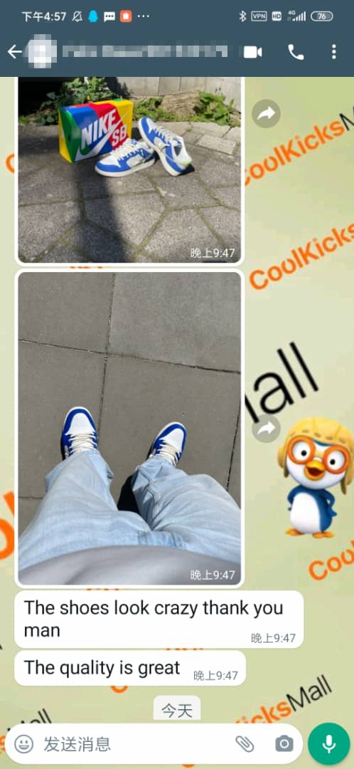 PKGoden SB Dunk Low Pro Fly Streetwear Gardenia ,DQ5130-400   review 2