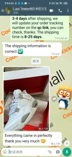 PKGoden Air Jordan 4 Retro White Oreo,CT8527-100 review coolkicksmall reviews 02
