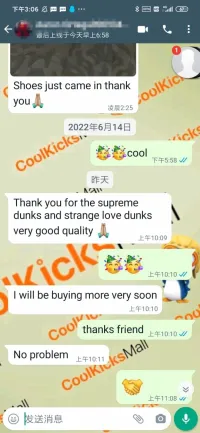 PKGoden SB Dunk Low StrangeLove Skateboards,CT2552-800 review 0