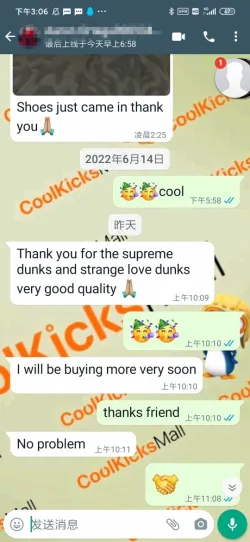 PKGoden SB Dunk Low StrangeLove Skateboards,CT2552-800 review coolkicksmall 
