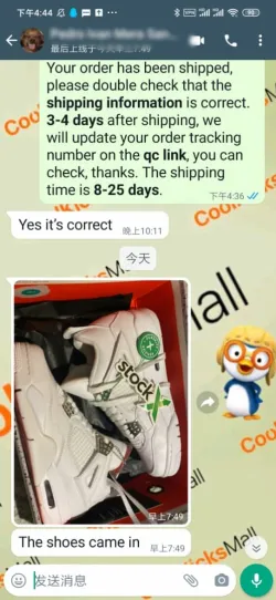 PKGoden Air Jordan 4 Retro Pure Money (2017),308497-100 review customer feedback 02