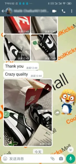 GET BoostMasterLin Dunk Low White Black Panda,DD1391-100 review customer feedback 02