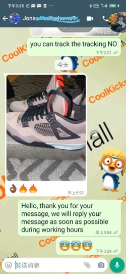 PKGoden Air Jordan 4 Retro Taupe Haze,DB0732-200 review coolkicksmall  02