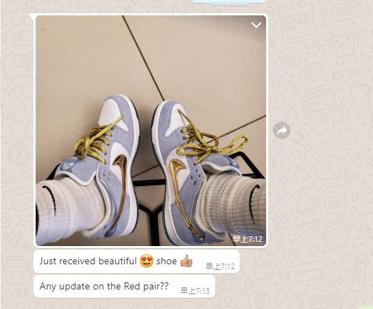 Coolkicks  PKGoden SB Dunk Low Sean Cliver,DC9936-100 review coolkicksmall 00