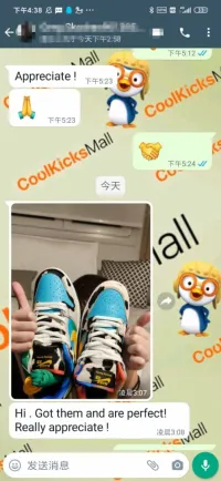 PKGoden SB Dunk Low Ben & Jerry's Chunky Dunky,CU3244-100 review 1