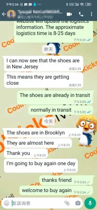 Coolkicks G5 Yeezy Boost 350 V2 Beluga 2.0,AH2203 review 0
