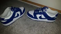 GET SB Dunk Low Pro PRM 90s Backpack,DX6775-400   review 0