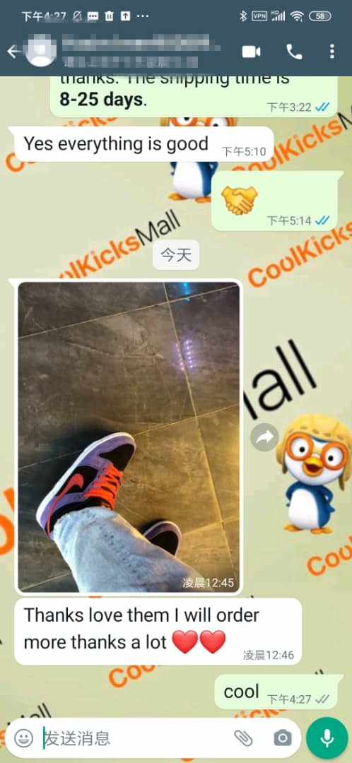 Coolkicks PKGoden SB Dunk Low ACG Terra,BQ6817-008 review 1