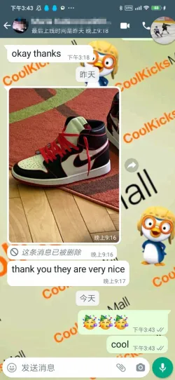 Coolkicks PKGoden Air Jordan 1 Retro High Bloodline,555088-062 review coolkicksmall  02