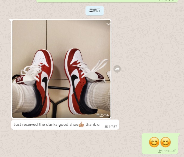 Coolkicks  PKGoden SB Dunk Low J-Pack Chicago,BQ6817-600 review 1