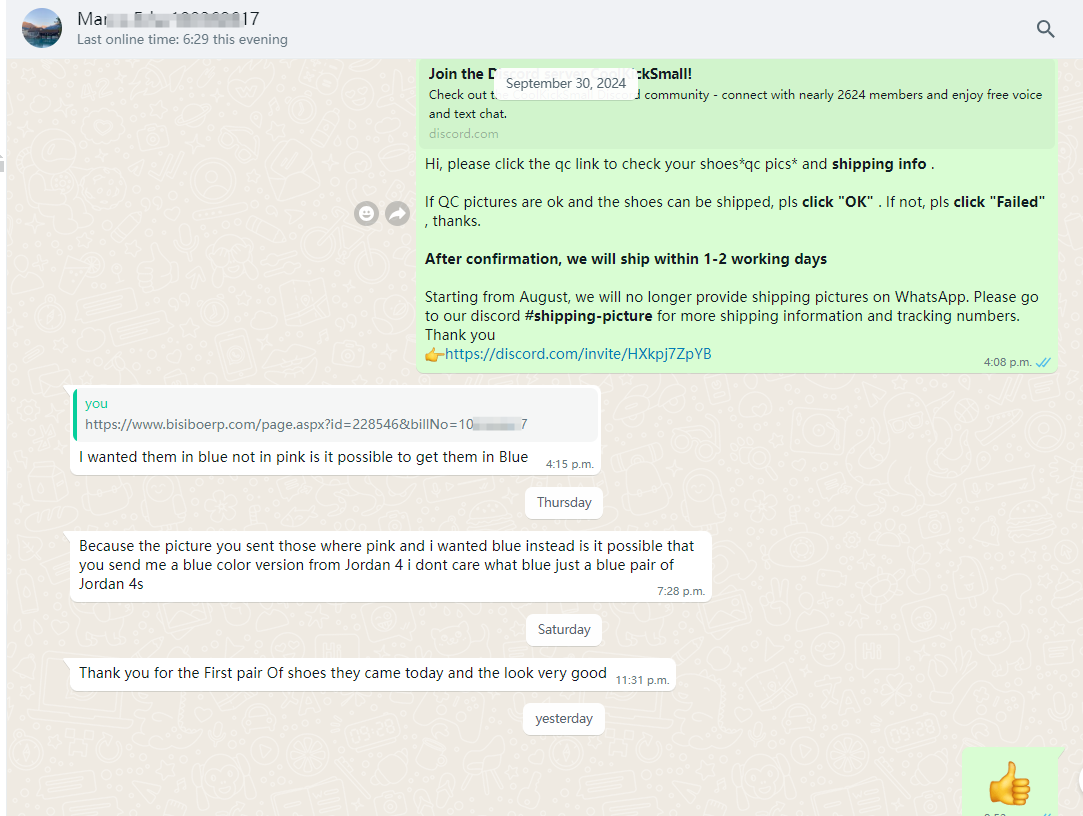 PKGoden Rayssa Leal × Nike SB Dunk Low White Blue Purple FZ5251-001 review 0