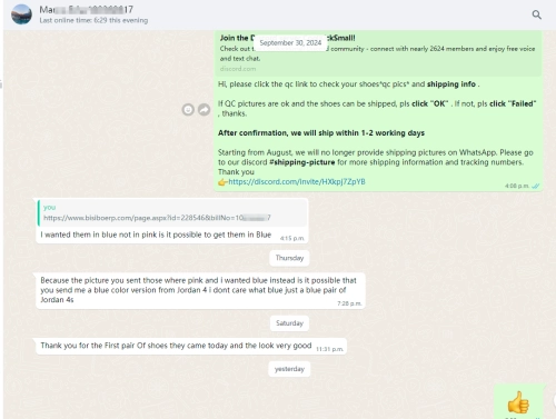 PKGoden Rayssa Leal × Nike SB Dunk Low White Blue Purple FZ5251-001 review 