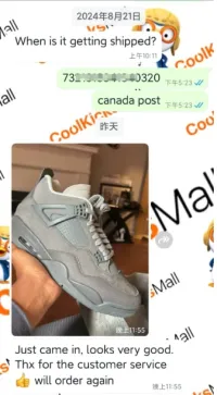 PKGoden Air Jordan 4 Paris Olympics FQ7928-001 review 0
