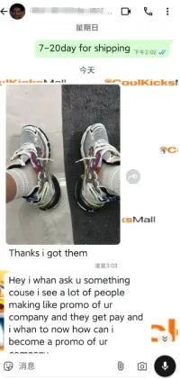 PKGoden Balenciaga 7th Runner Silver Purple 677403W3RB68123 review 0