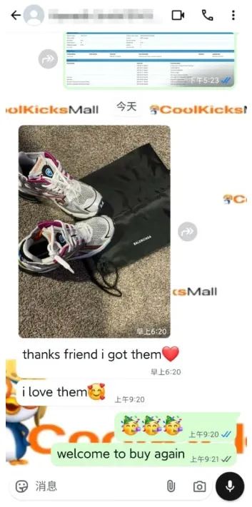 PKGoden Balenciaga 7th Runner Silver Purple 677403W3RB68123 review feedback from whatsapp customer 00