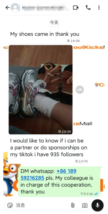 PKGoden Balenciaga 7th Runner Silver Purple 677403W3RB68123 review feedback from whatsapp customer