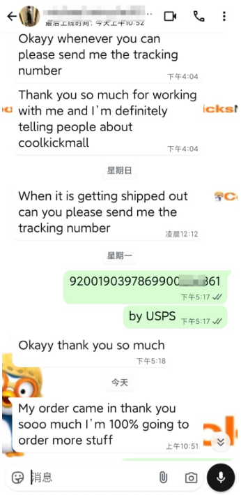 PKGoden Air Jordan 4 Retro Black Cat CU1110-010 review michael minuche