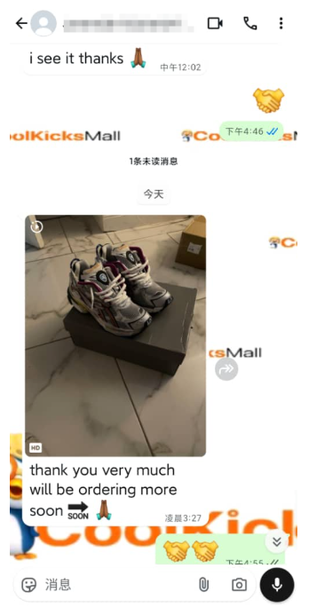 PKGoden Balenciaga 7th Runner Silver Purple 677403W3RB68123 review feedback from whatsapp customer 00