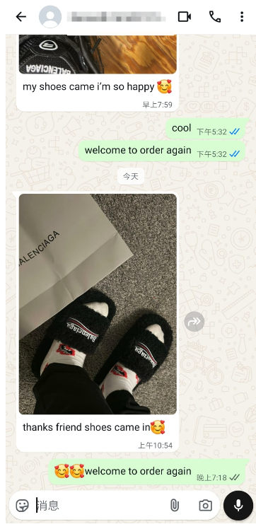 Balenciaga Furry Slide Black/White/Pink/Grey/Red/Green/Blue review feeback from whatsapp customer 01