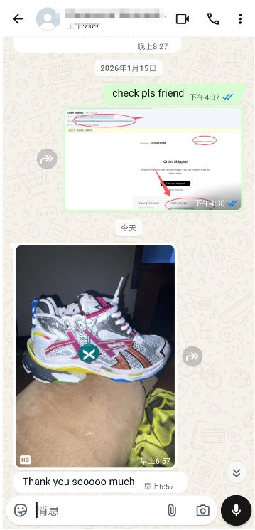 PKGoden Balenciaga 7th Runner Silver Purple 677403W3RB68123 review 