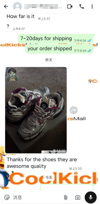 PKGoden Balenciaga 7th Runner Silver Purple 677403W3RB68123 review 1