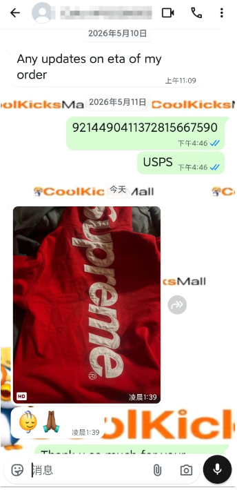 Supreme Satin Applique Hoodie Sweatshirt Red review 0