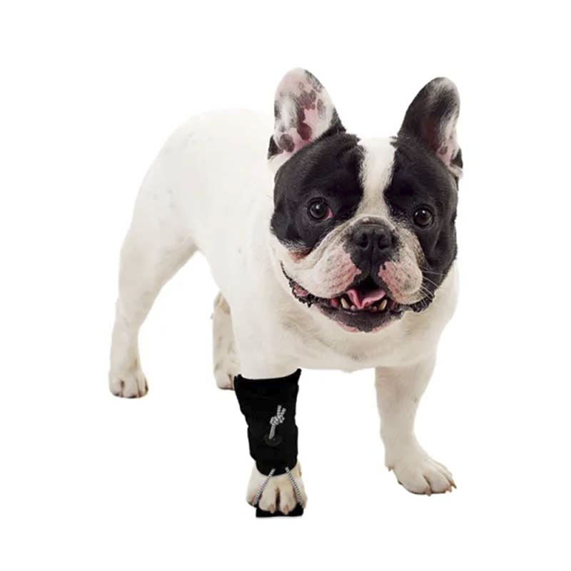 Adjustable Toe-training Socks for Dogs