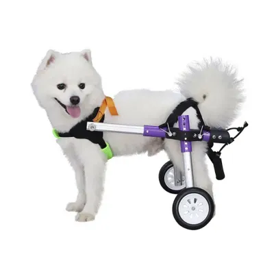 Canine Rear Leg Dual-Wheel Mobility Cart 01