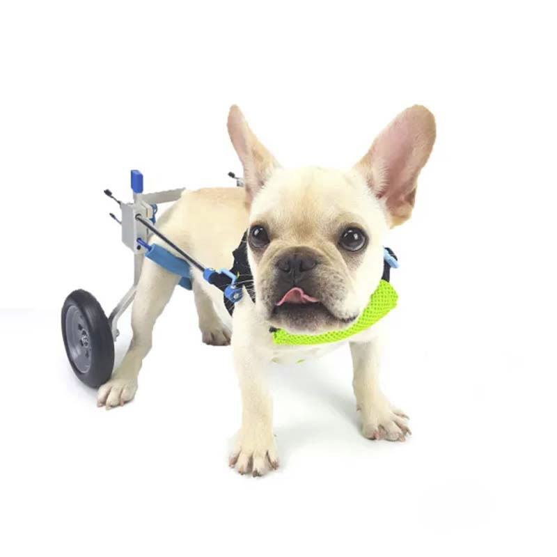 Dog Disabled Rear Wheelchair