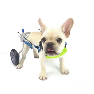 Dog Disabled Rear Wheelchair 01