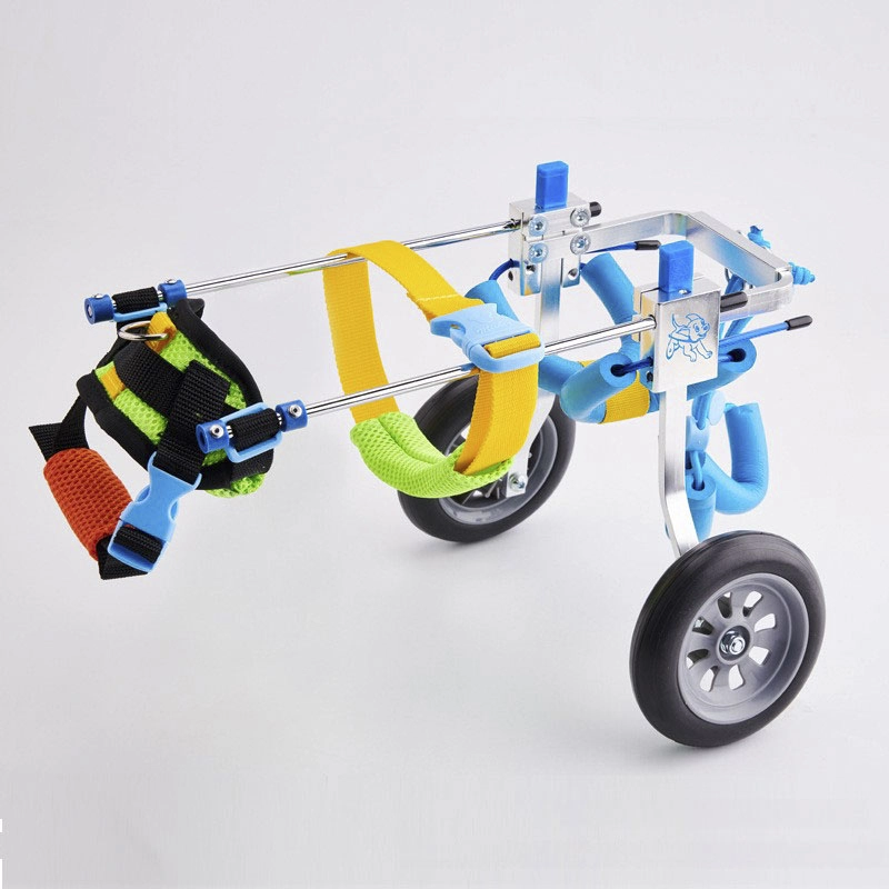 Dachshund Wheelchair | Rear Leg Wheels & Support for Small Dogs