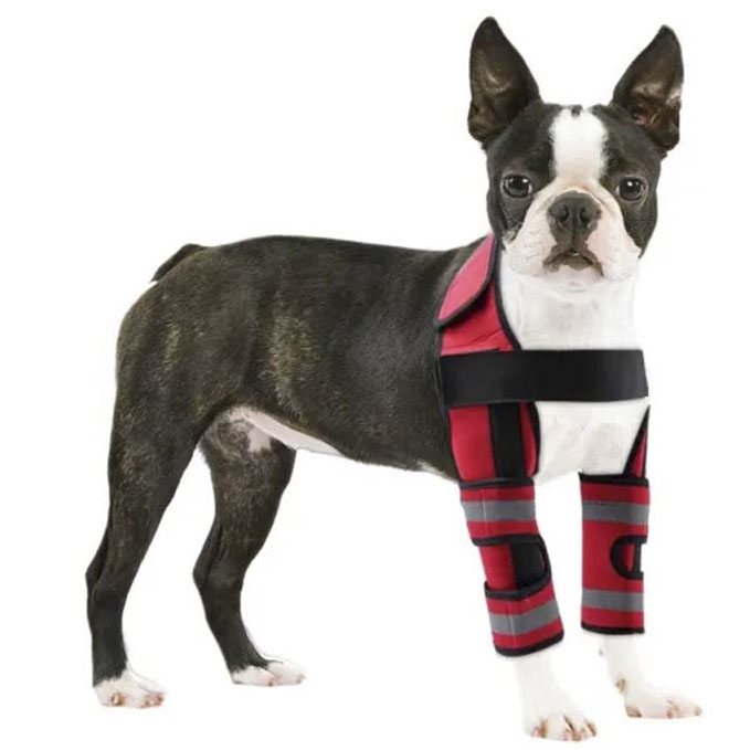 Dog Front Leg Arthritis Brace